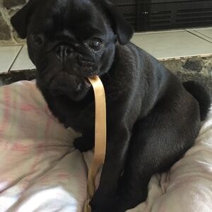 Meet your Posher, Jas